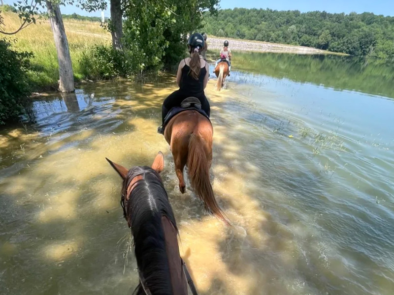 Horseback Riding