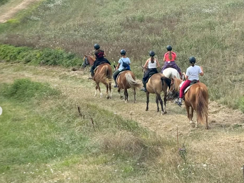 Spécial Groupe — visuel 2